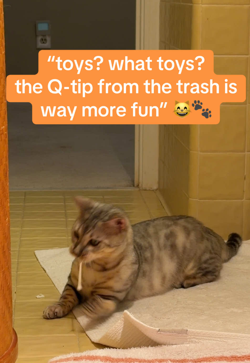 @gus.omatic