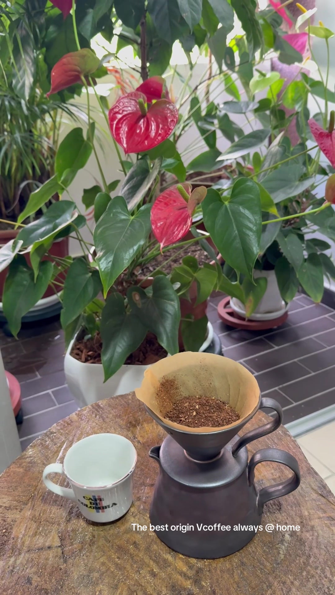 @vincentcoffee2