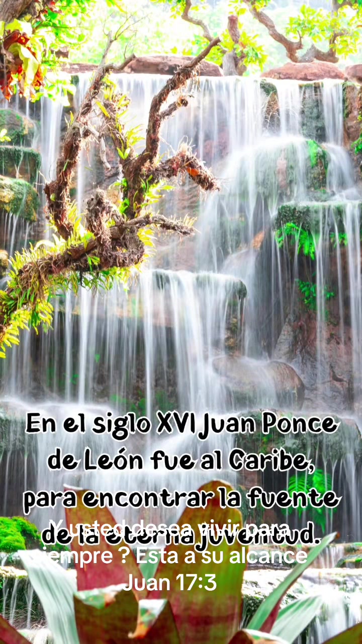 @Anunciando el Reino