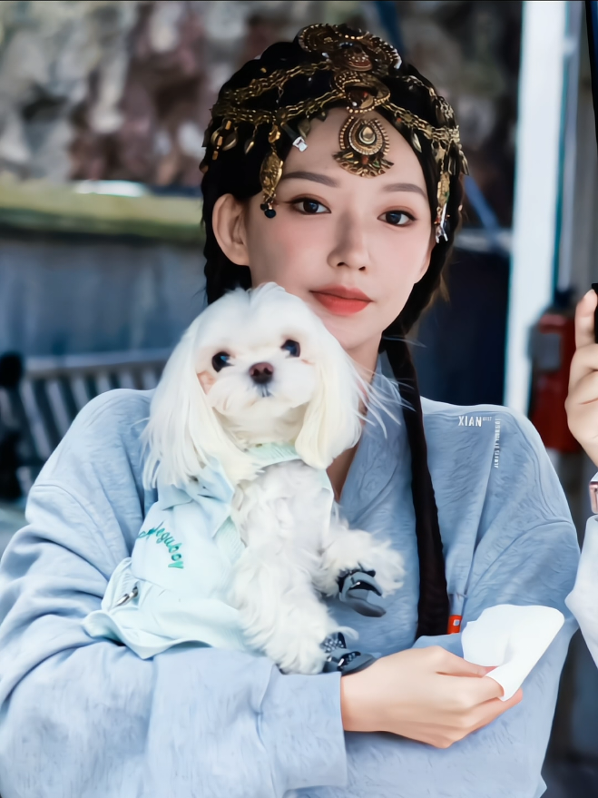 @xiao’s admirer