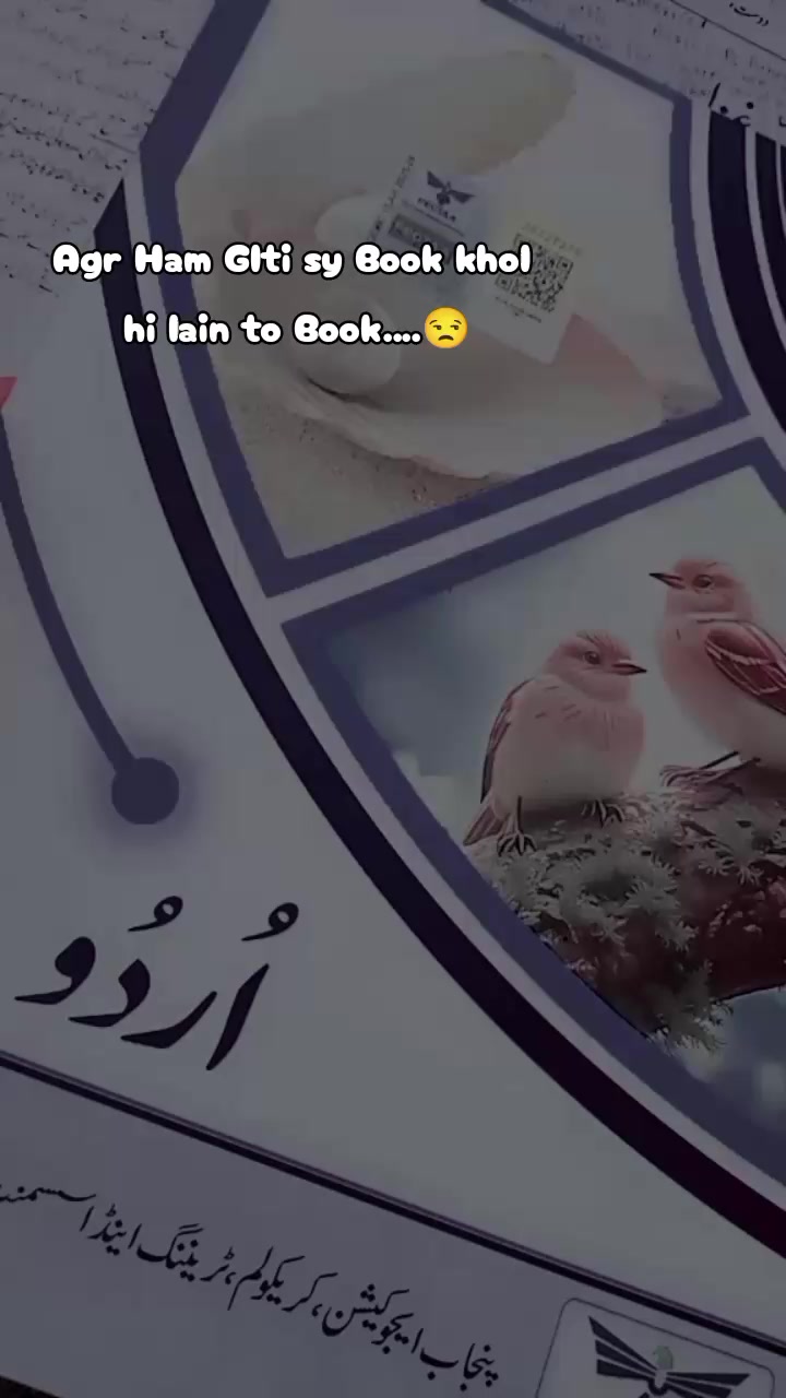 @๐๐๐ช๐๐๐ผ๐จ๐๐