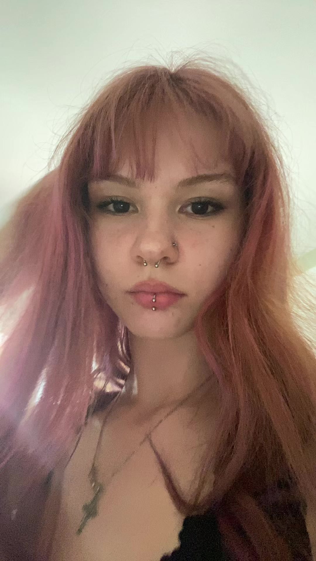 @maya