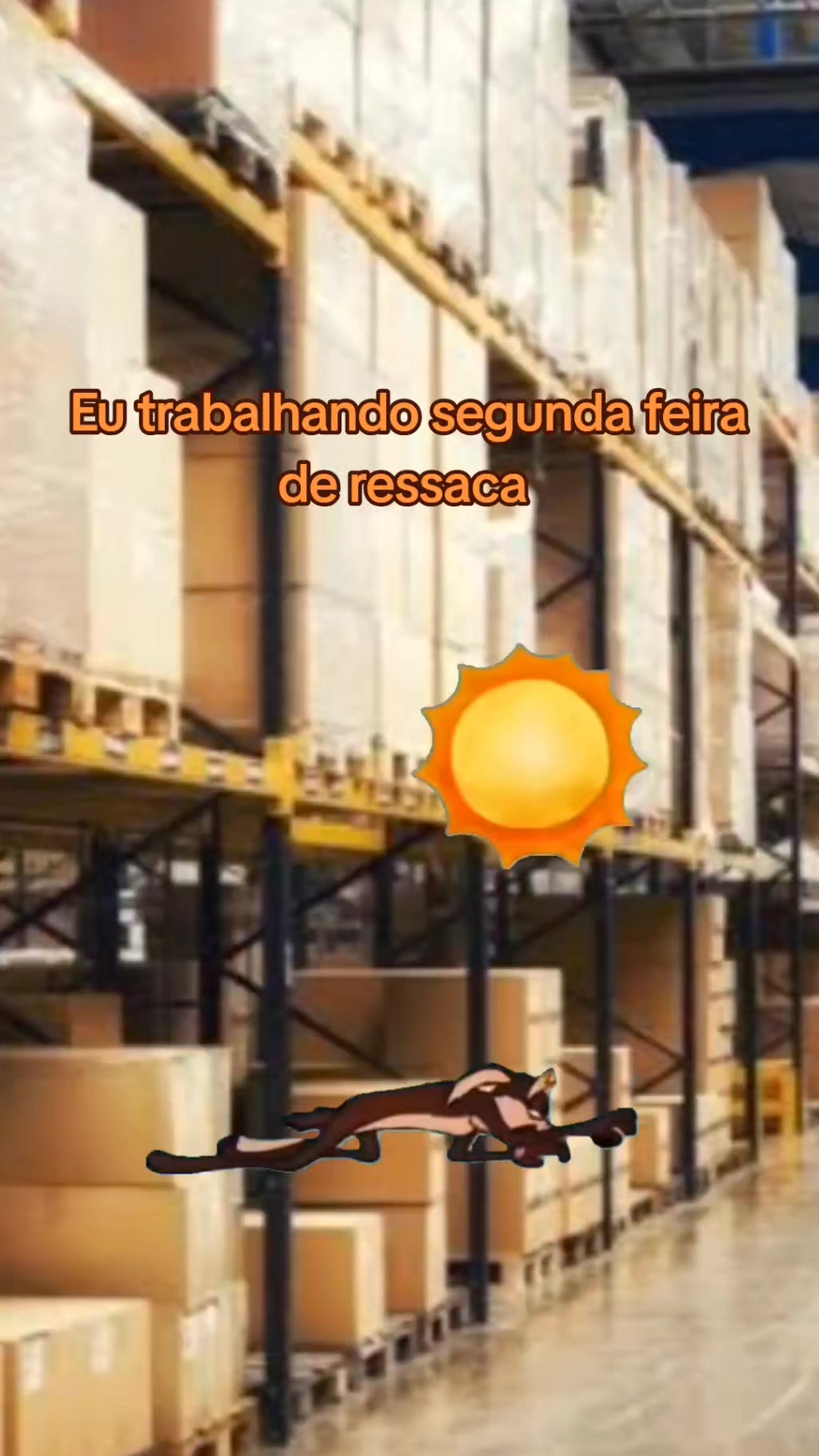 @CLT da divers&atilde;o 😁