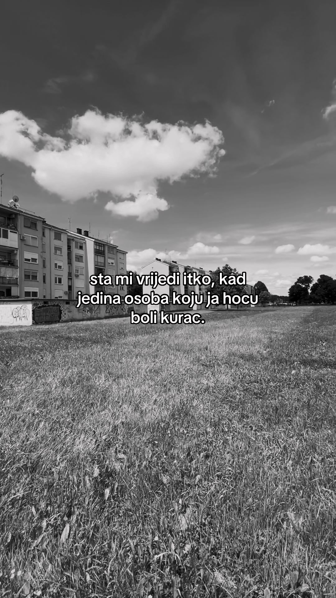 @mcml.adri