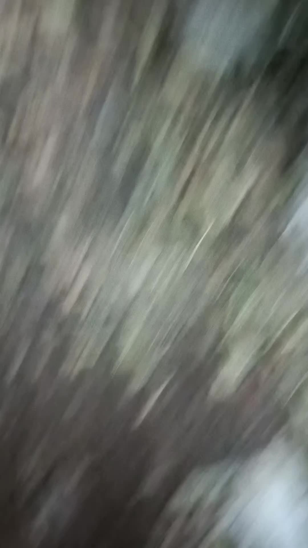 @Stefano Lombardo