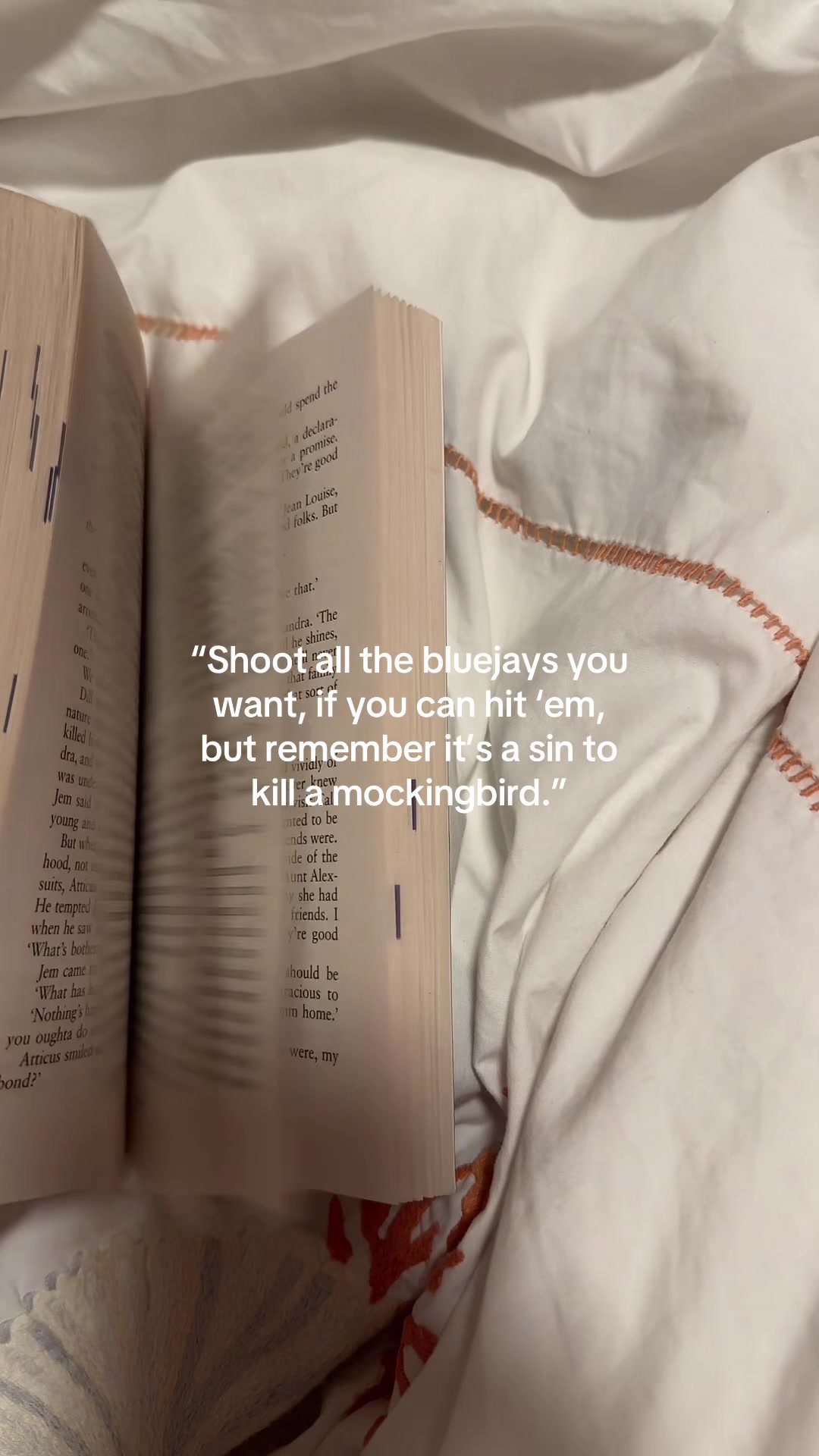 @di *ೃ༄