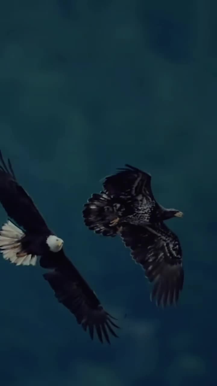 @ᥫ᭡ᴄᴇᴏ_ᴏғ_sᴛᴏʀʏ