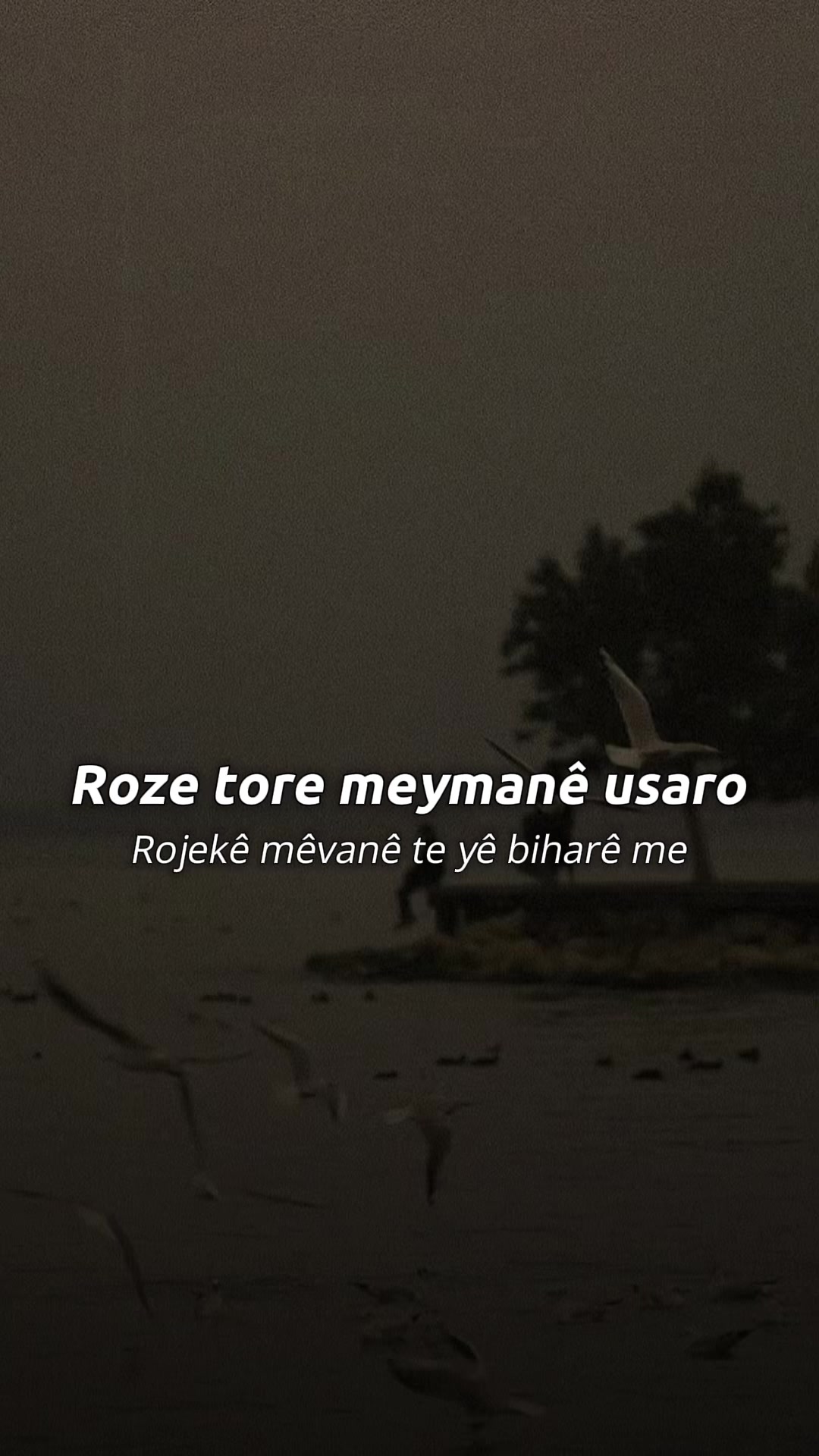 @Stranê Azadî