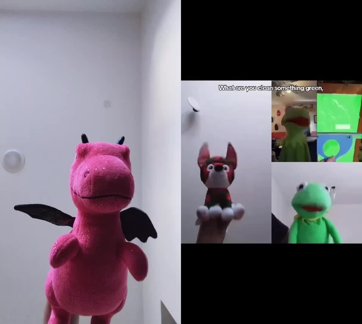 @Kermit The Frog Tiktok