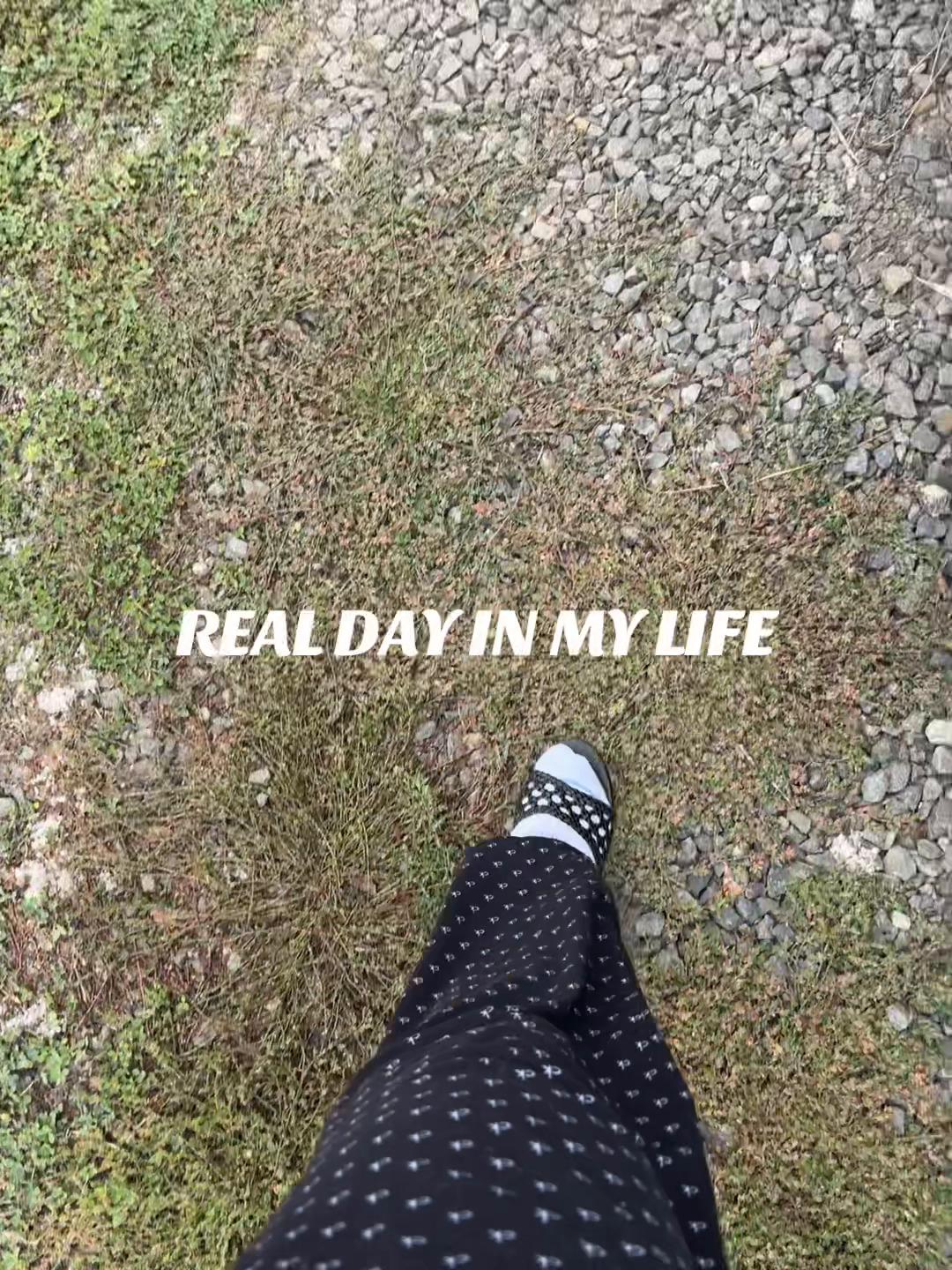 @Yesi 🦋🪄