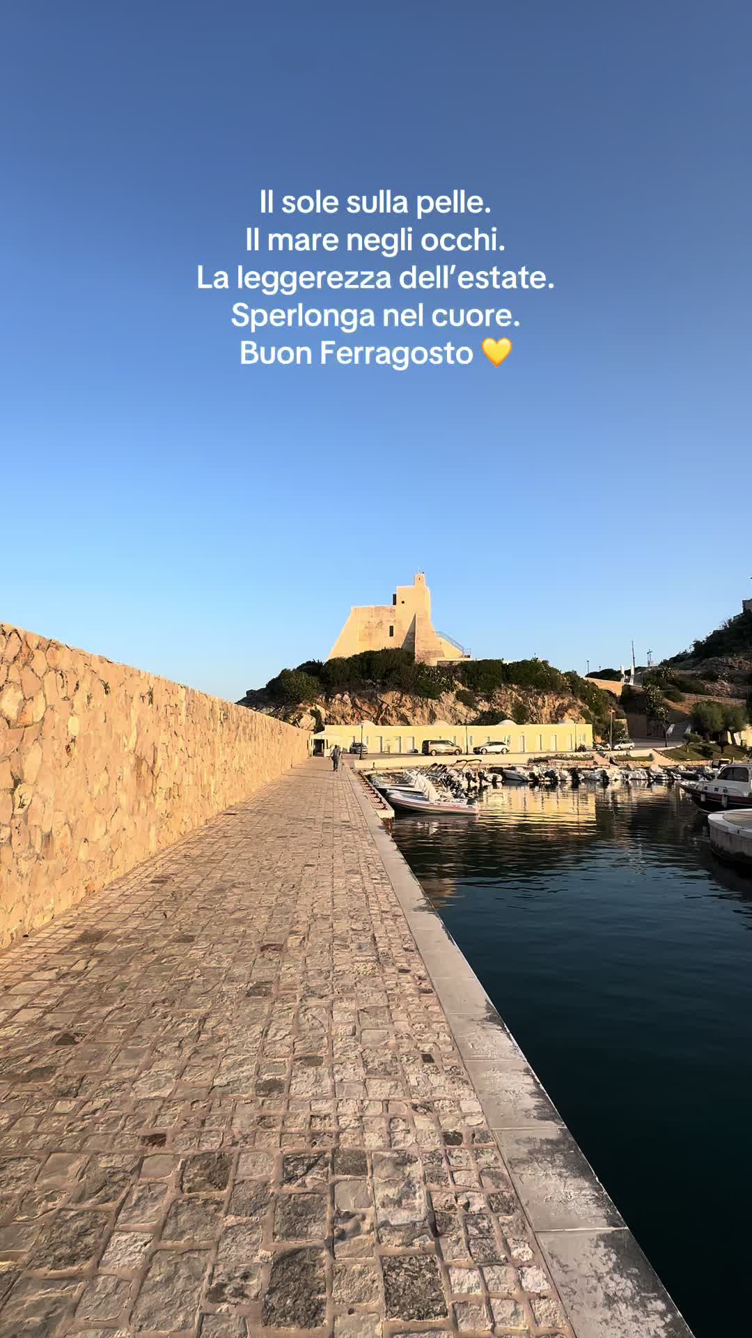 @Sperlongalive 💛