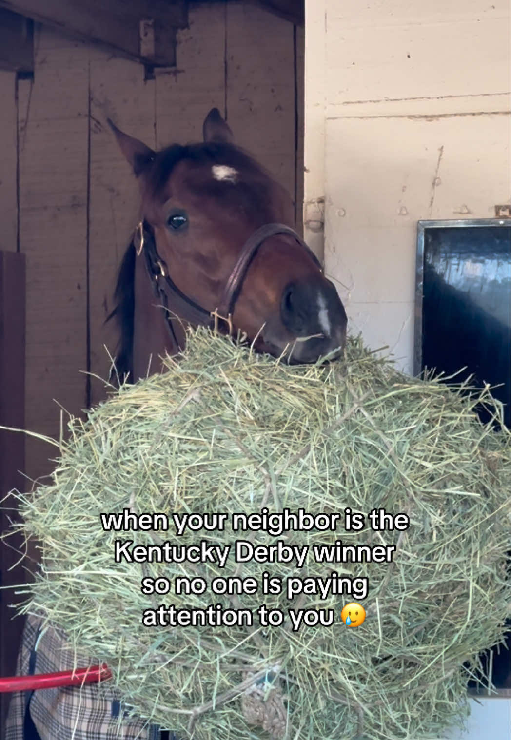 @TDN