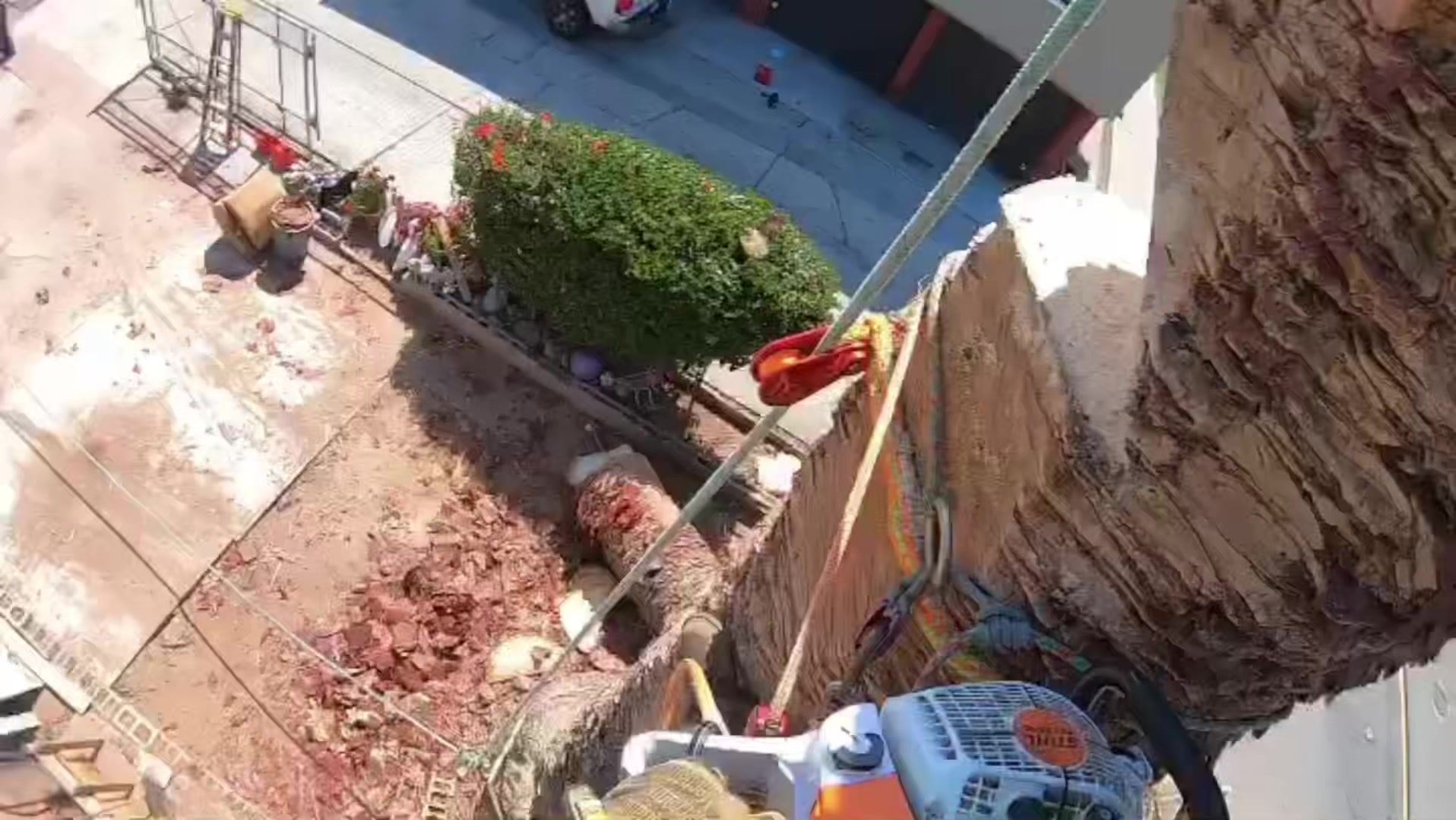 @ramborista