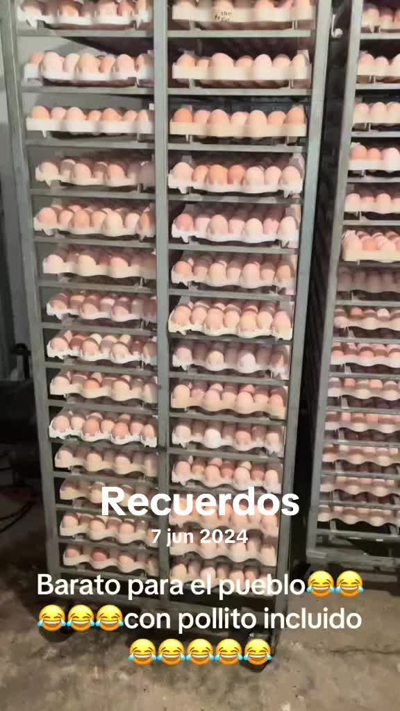@ALFONSO