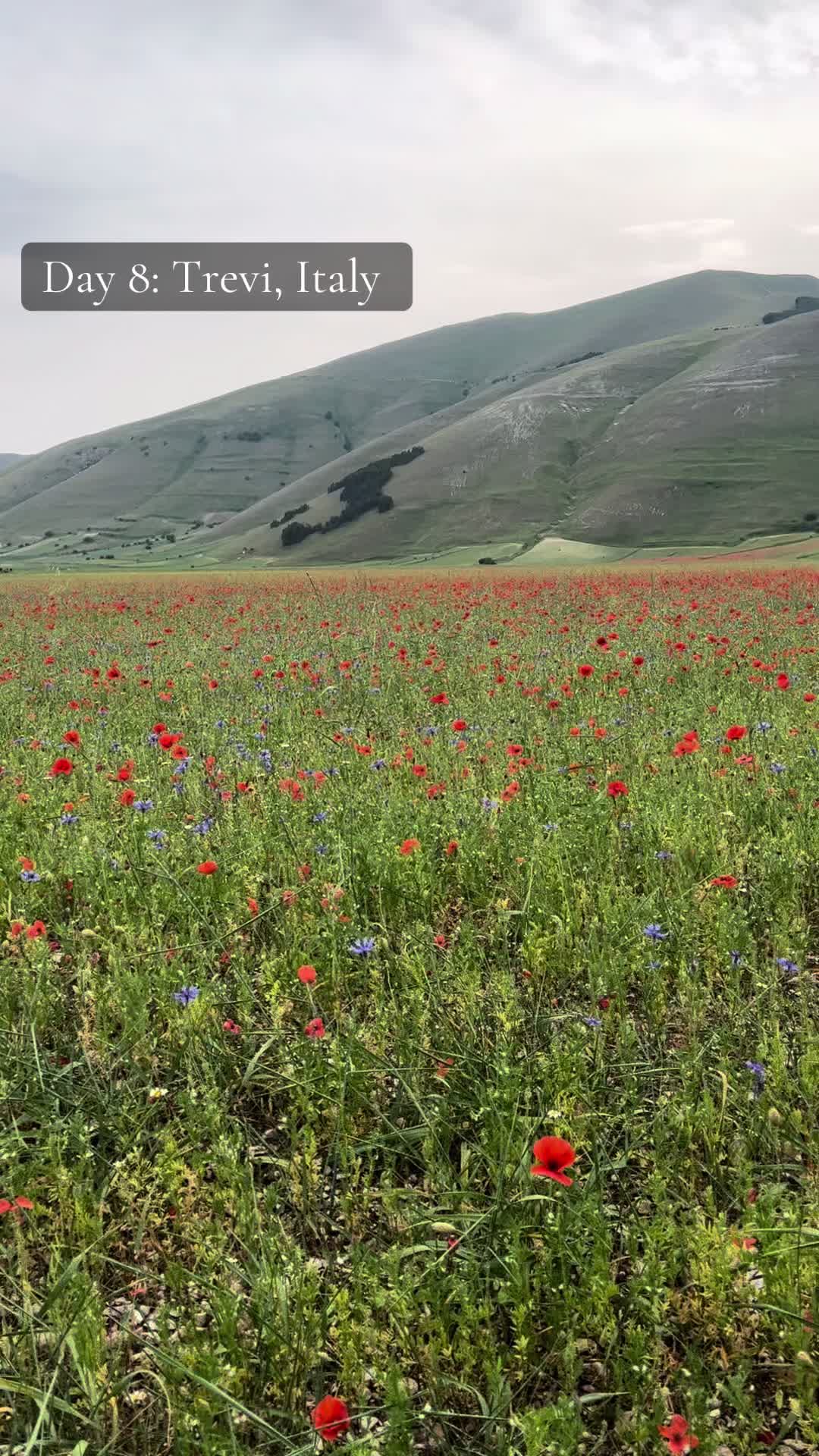 @Seeingbeautifulsites