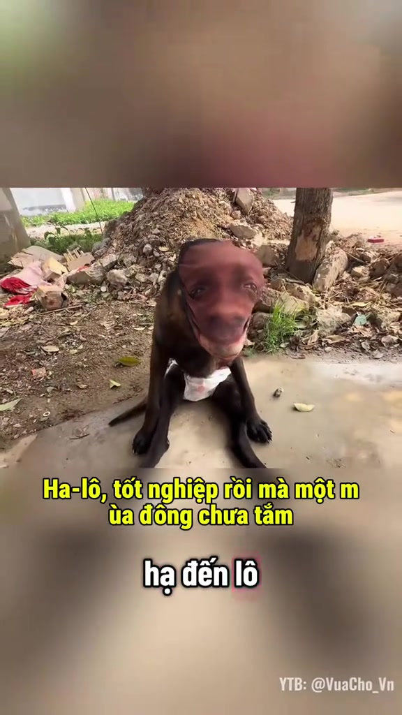 @Dương Anh 22