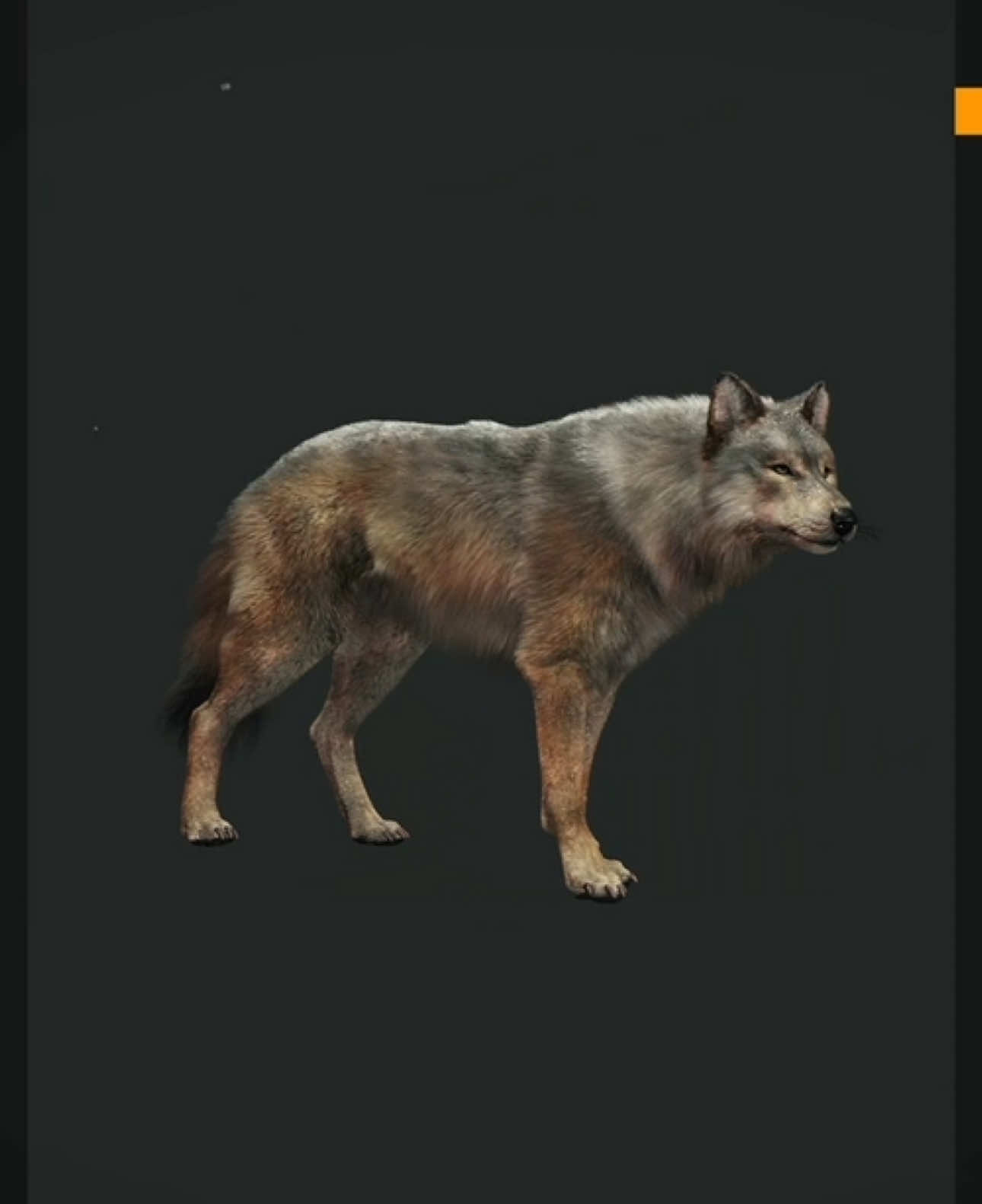 @we_hunt