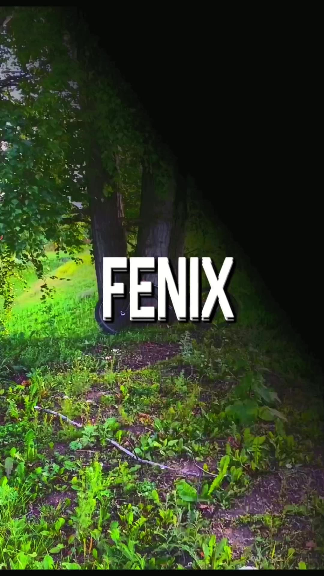 @fenix KST👻