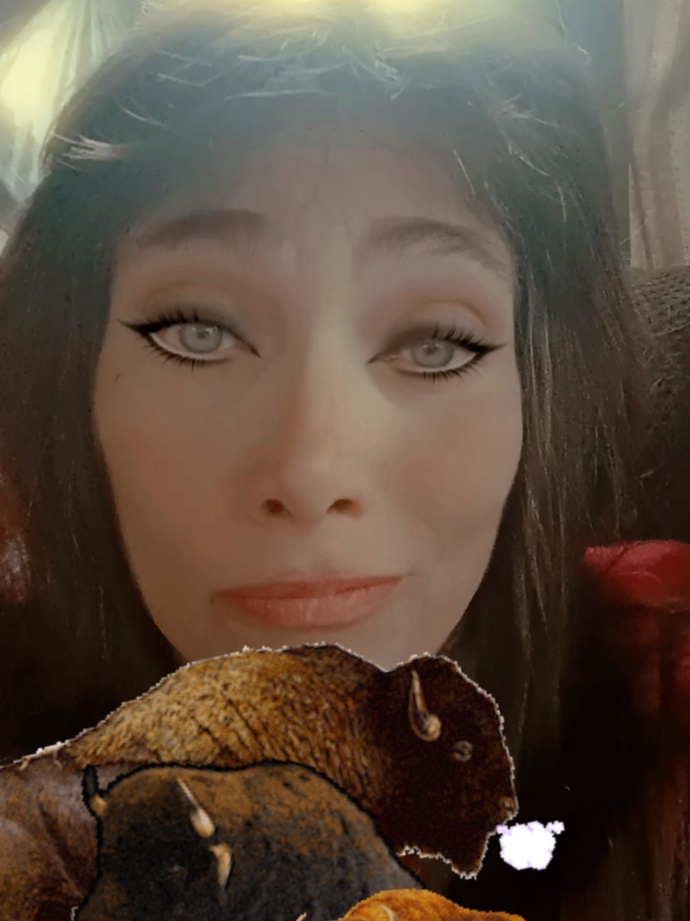 @YaYaPriestess_CrazyPaisleyLady