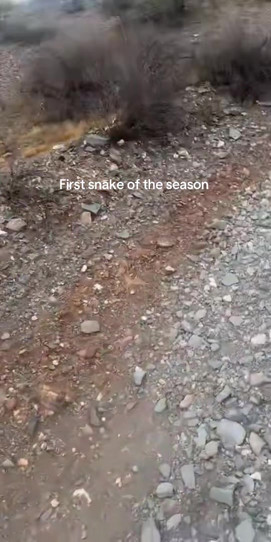 @runningvlogfromthrdesert
