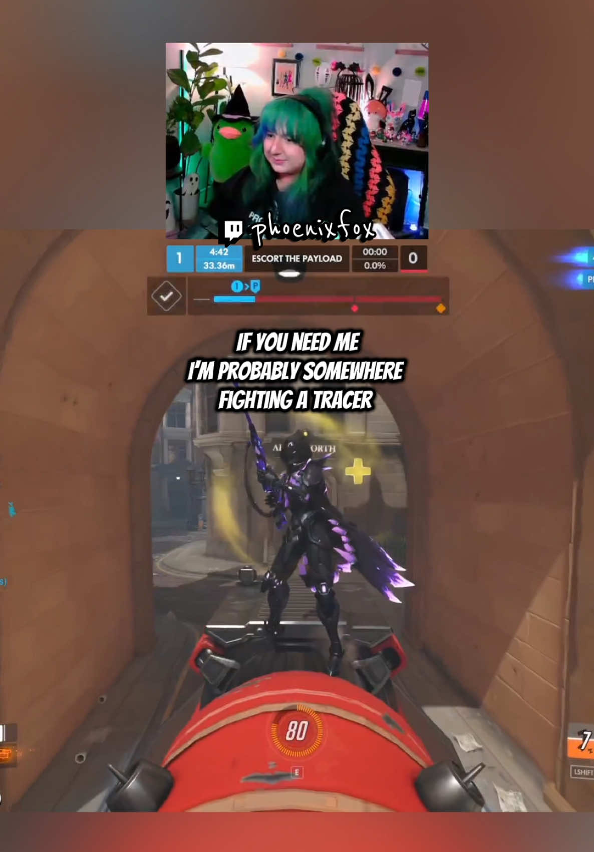 @phoenixfox