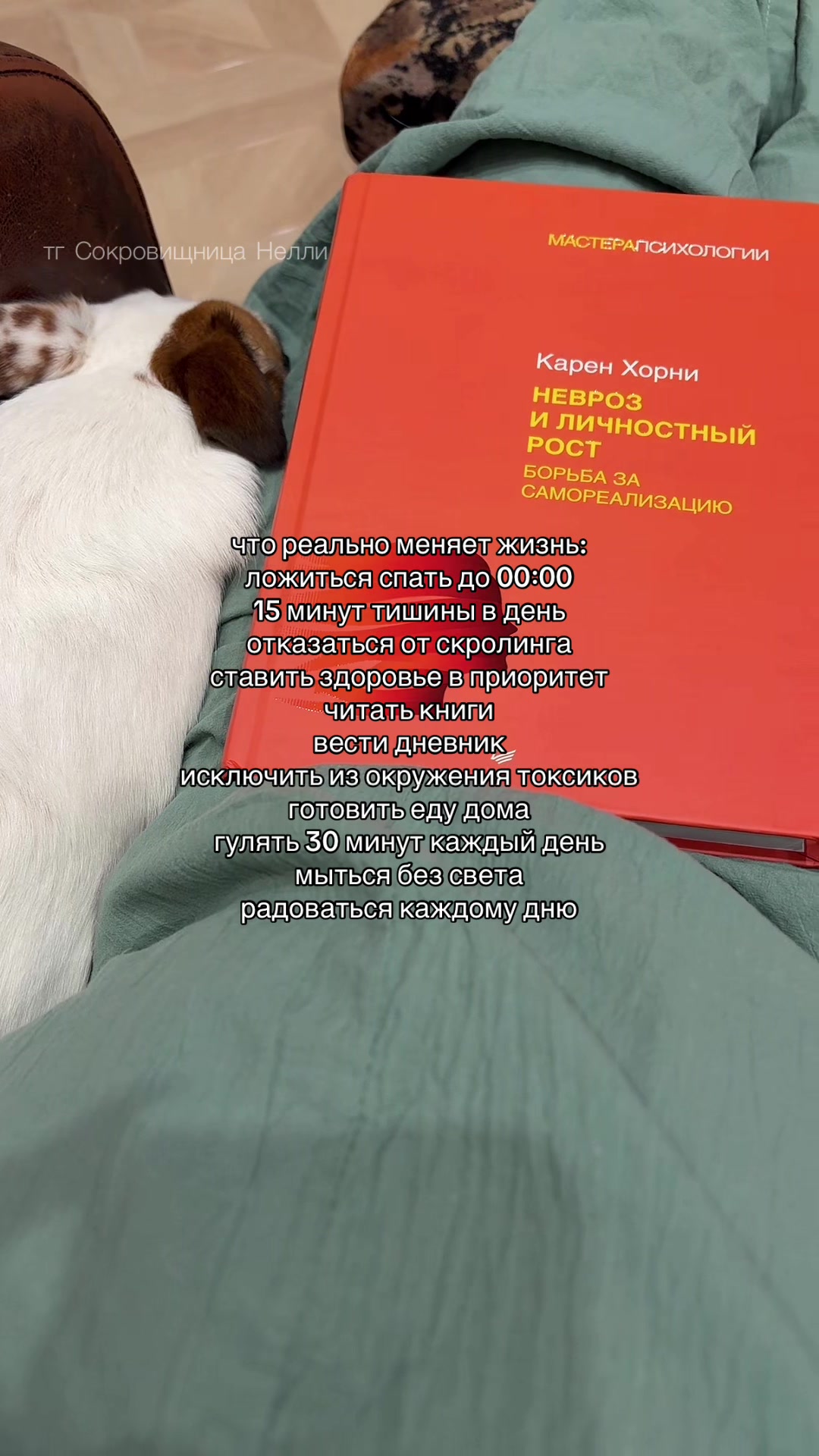 @Нелли Швецова • психолог