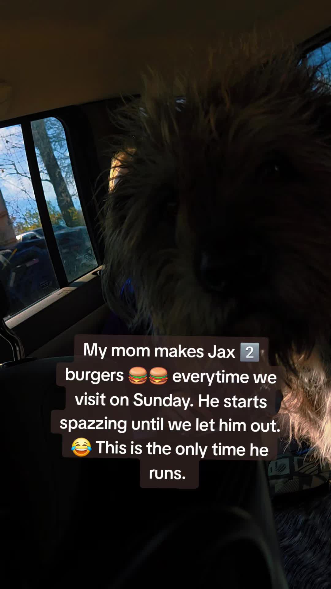 @BusStopMomma🚍🛑👨&zwj;👩&zwj;👧&zwj;👦