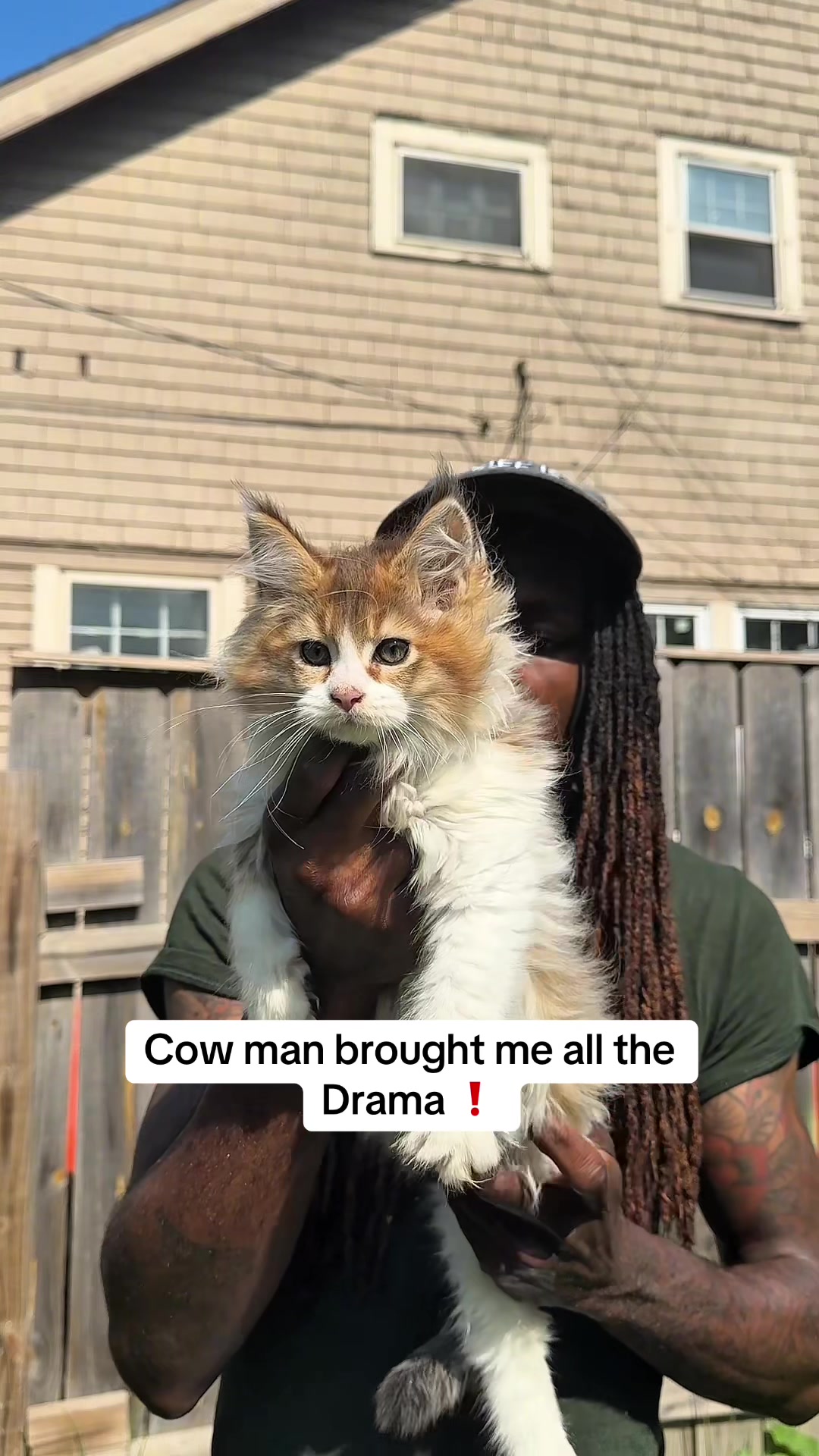 @Tycoon_Mainecoons