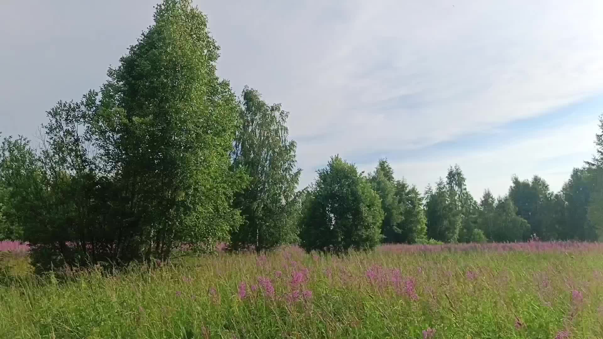 @мучачо