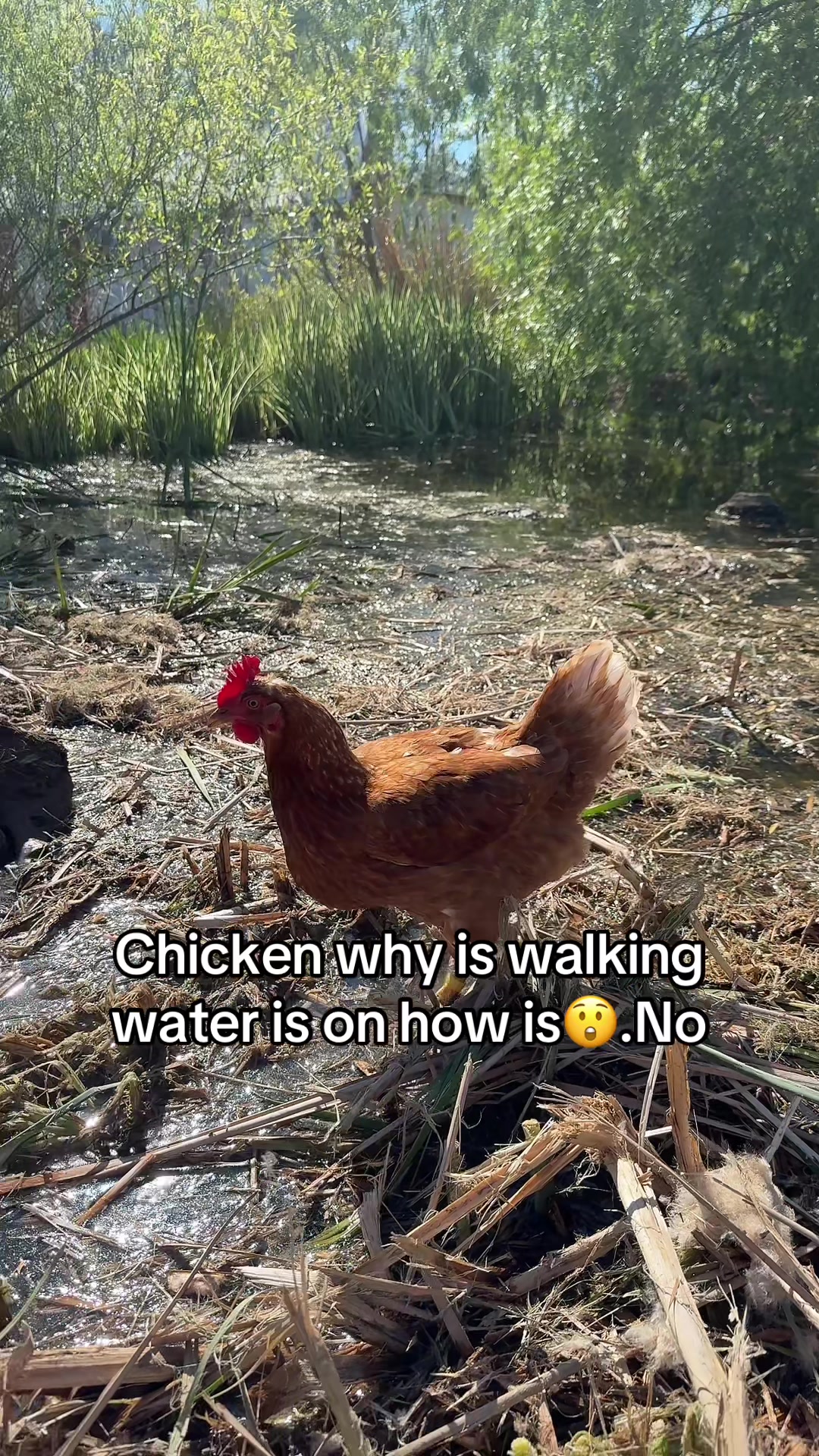 @No