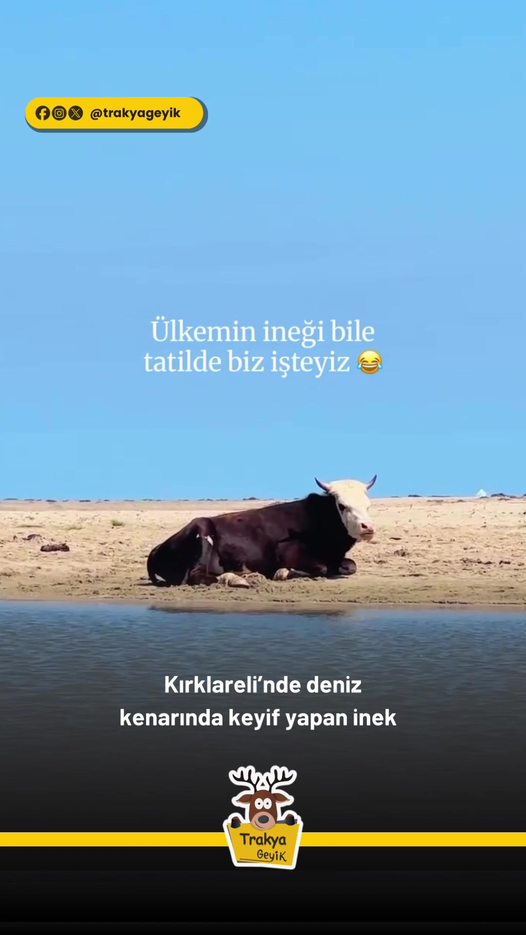 @Muğla Geyik