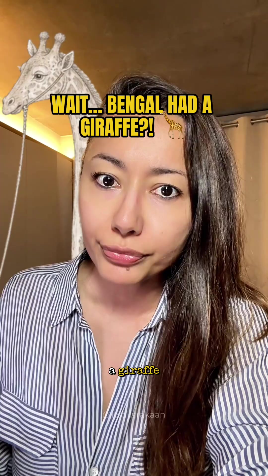 @Dilara | Digital Matriarch