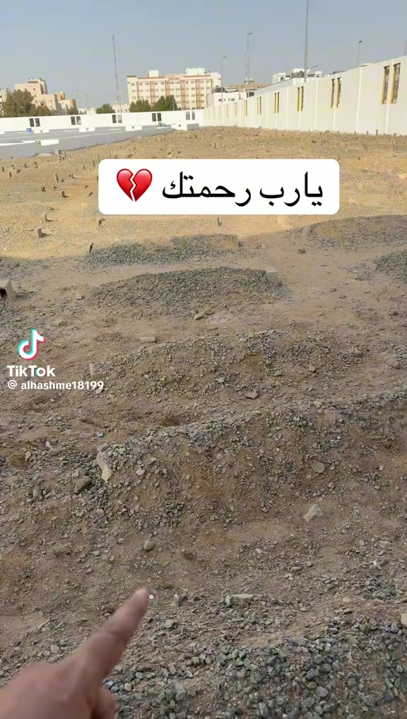 @hamzatrabelsi302