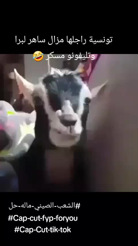 @❤️❤️❤️❤️❤️