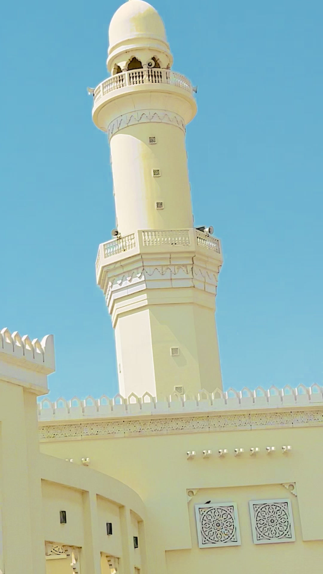 @𝐌𝐞ℍ𝕖𝐷𝑖 𝗛𝗮𝒮𝒶𝗡 _ツ