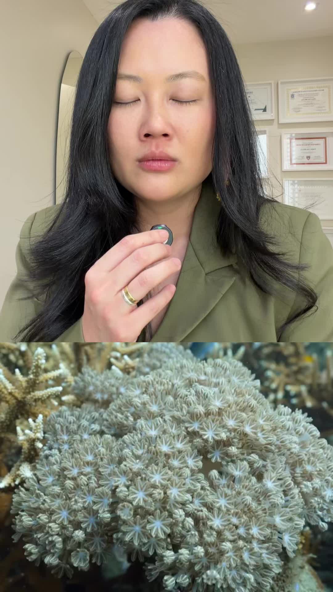 @Evelyn Liu
