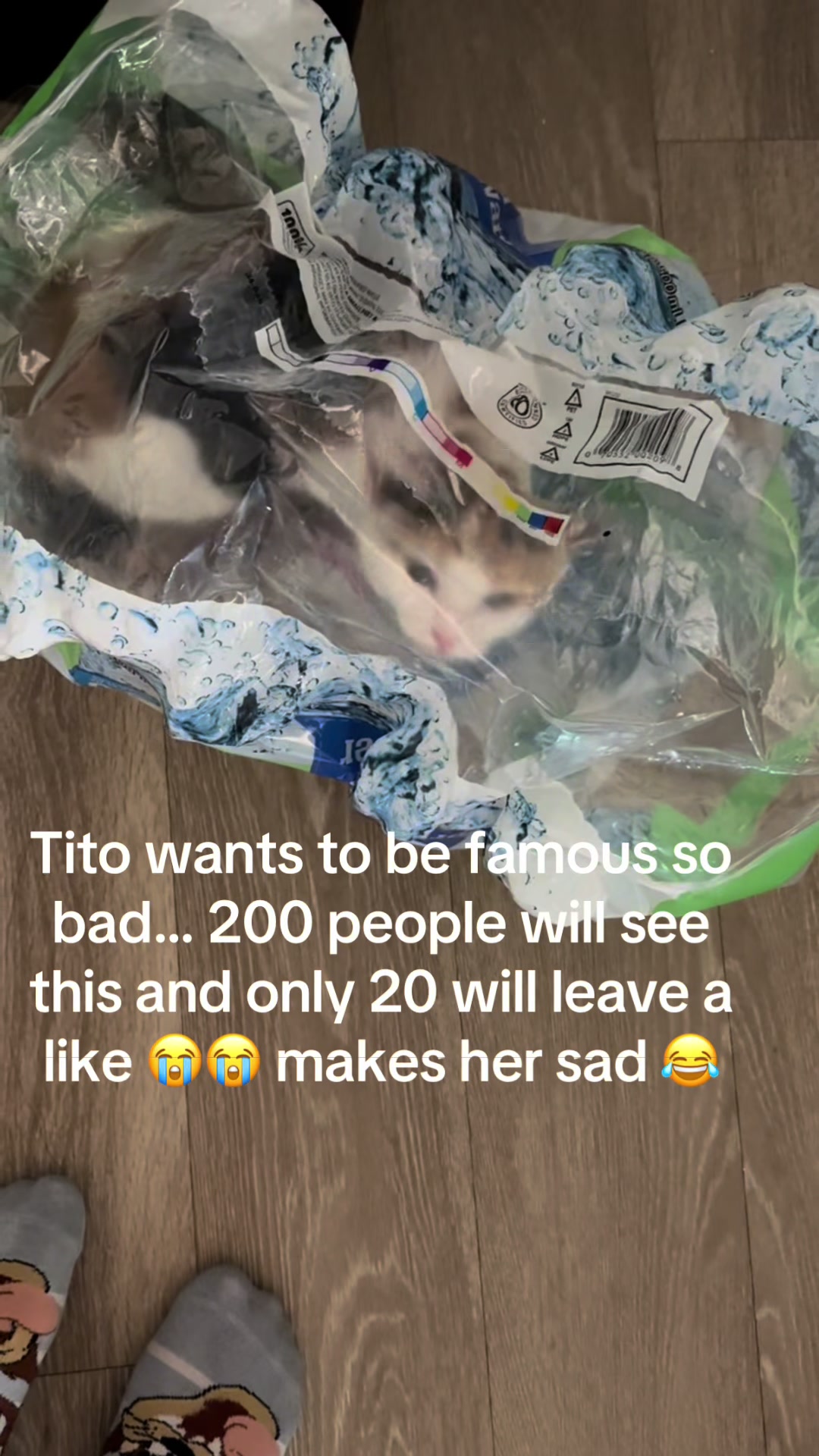 @titoandbubba