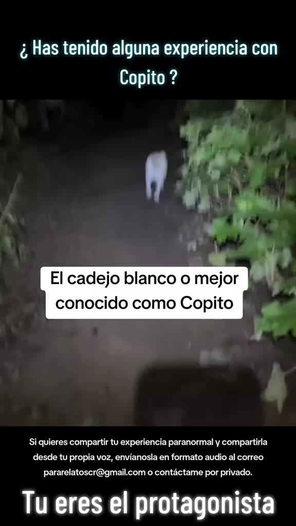 @PARARELATOSCR