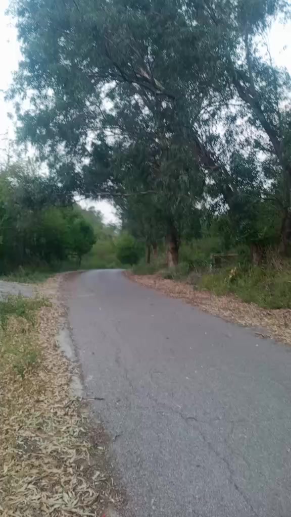 @Mr.Khan sb