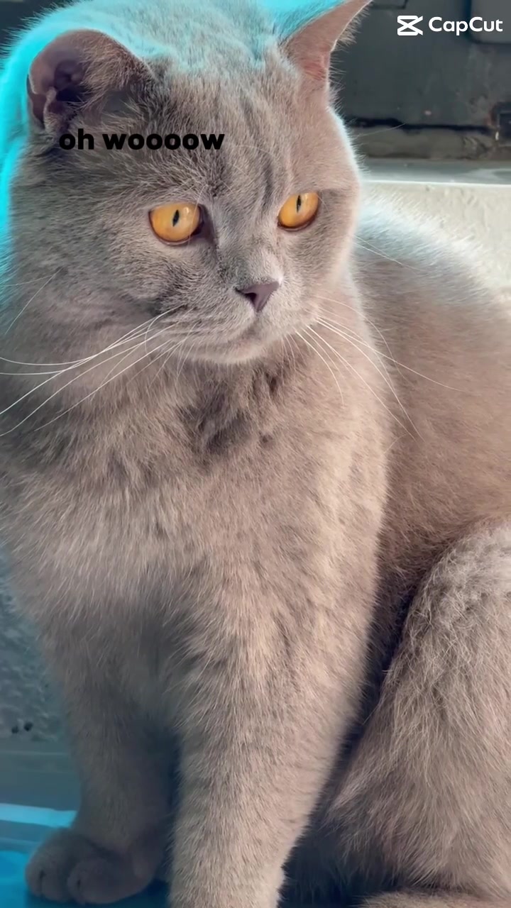 @parisyomama