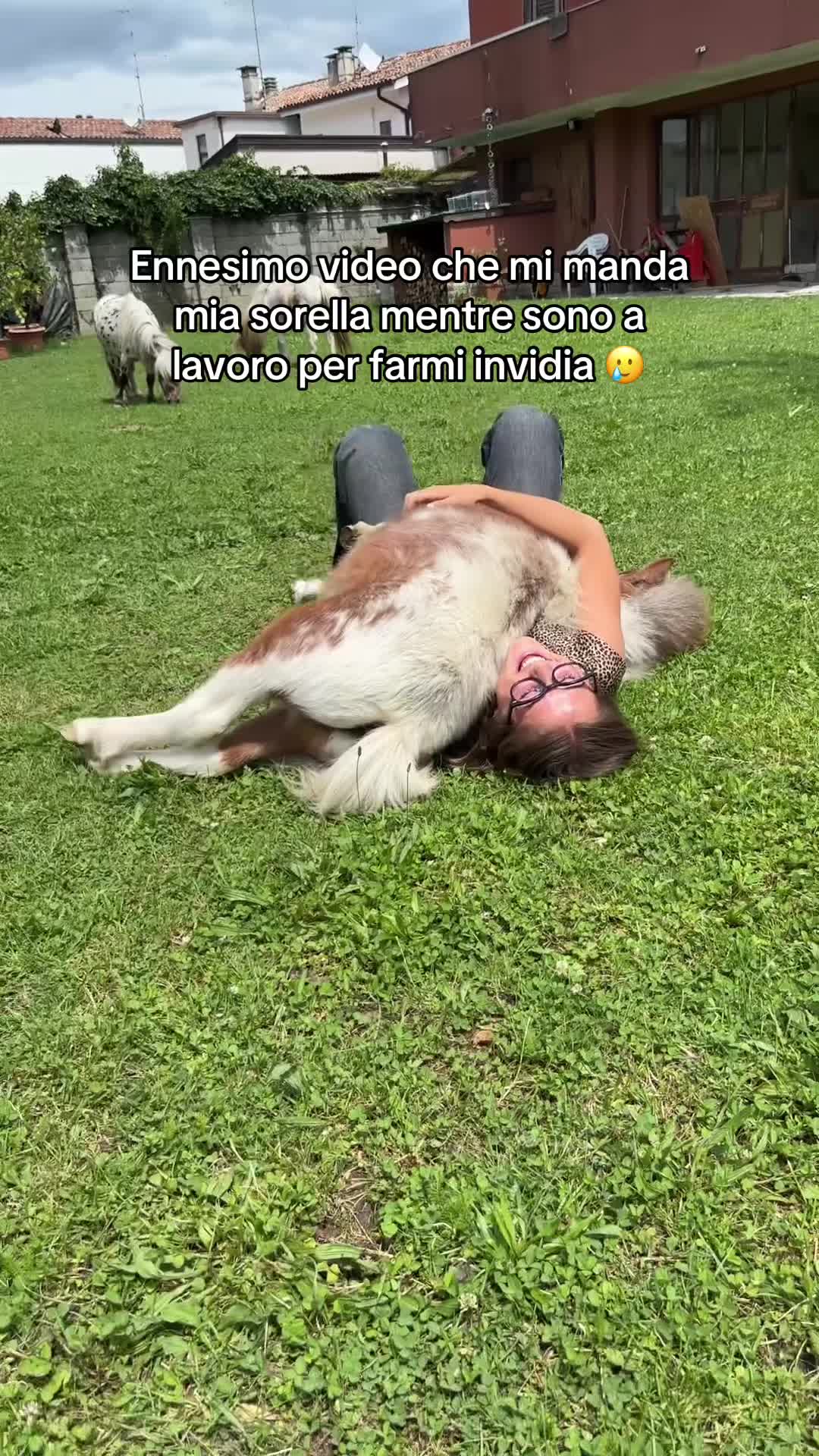 @franky_loda