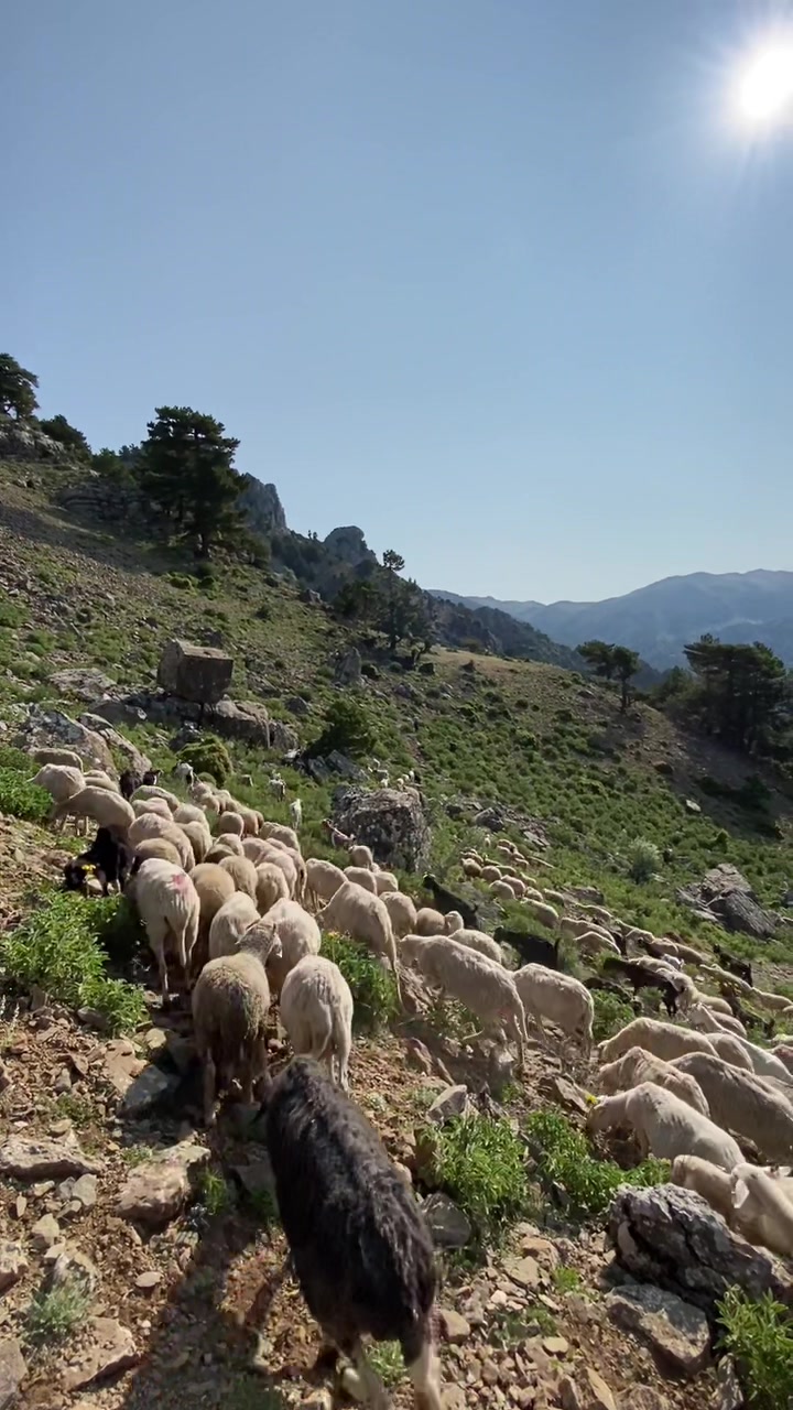 @Sarıtaş