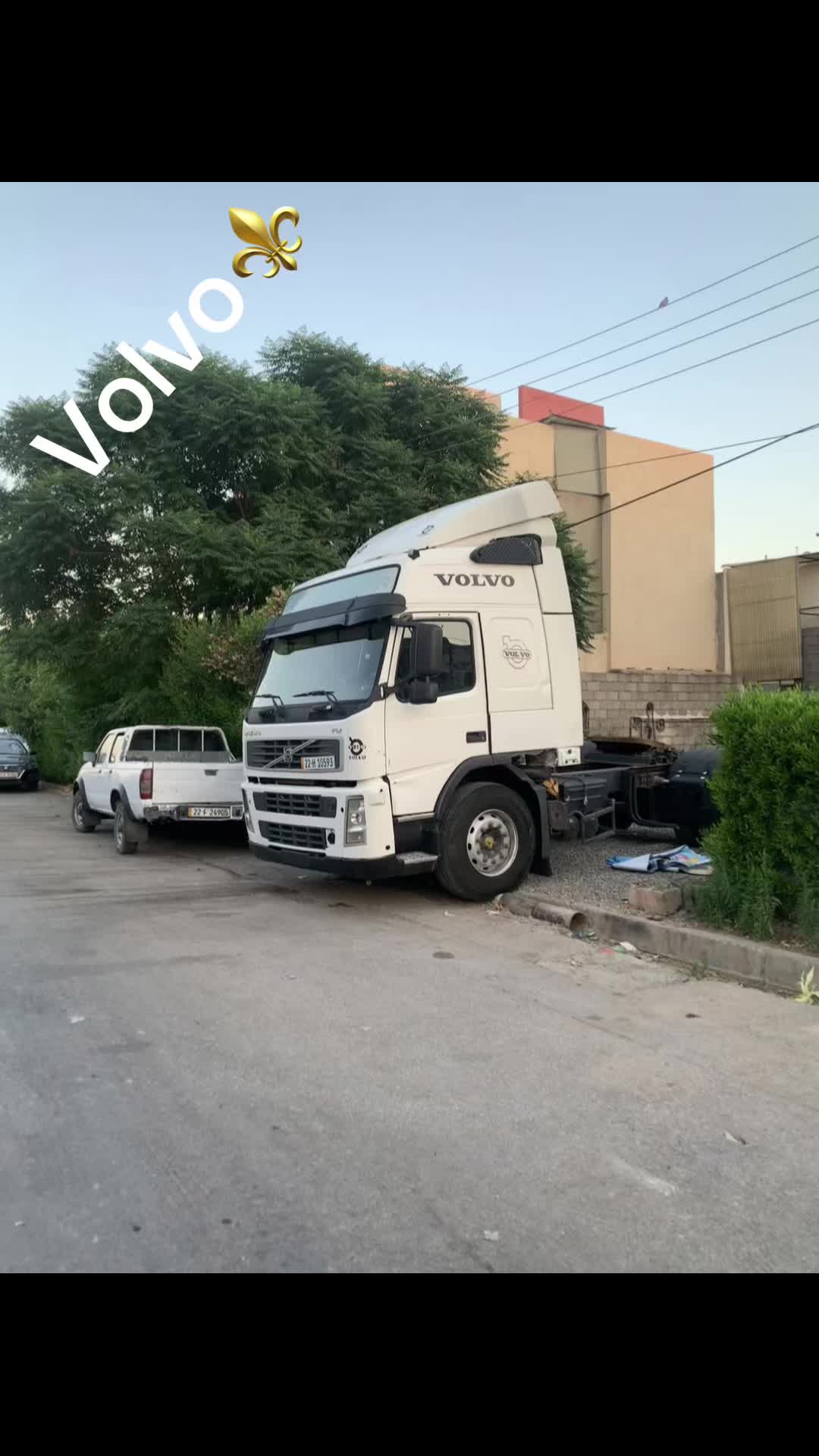 @⚜️RSHO VLVO