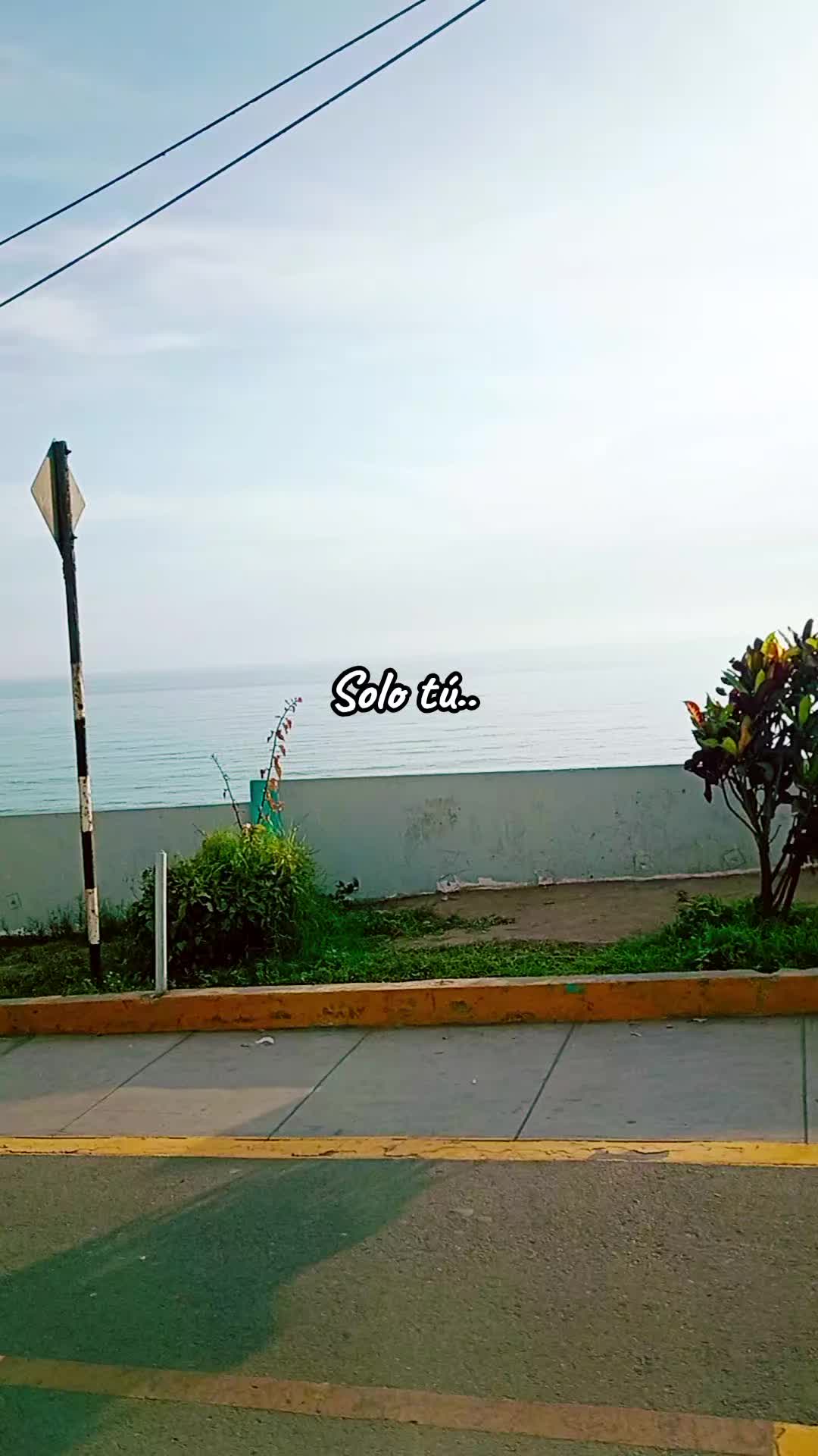 @JHARUMI🧃
