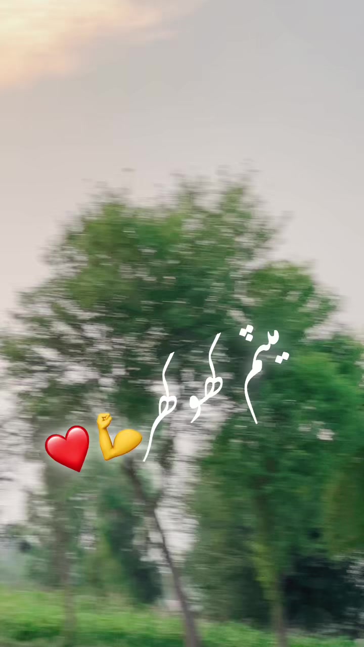 @MalikAryanKanjan🥷🏻