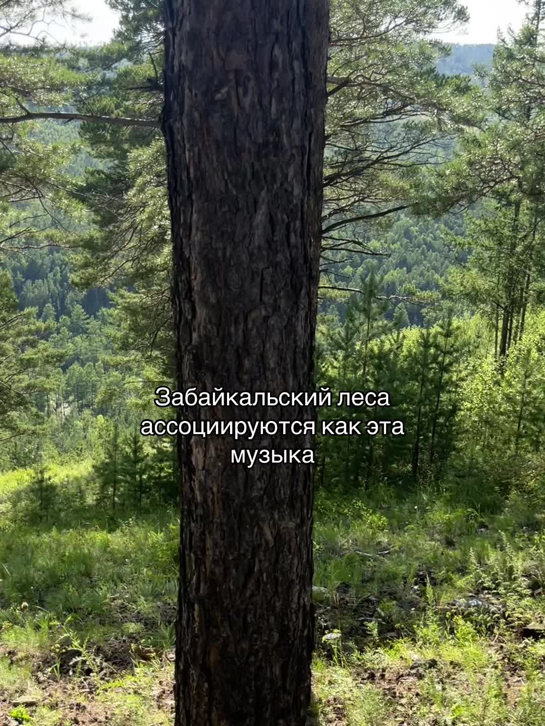 @evkalovkee_75