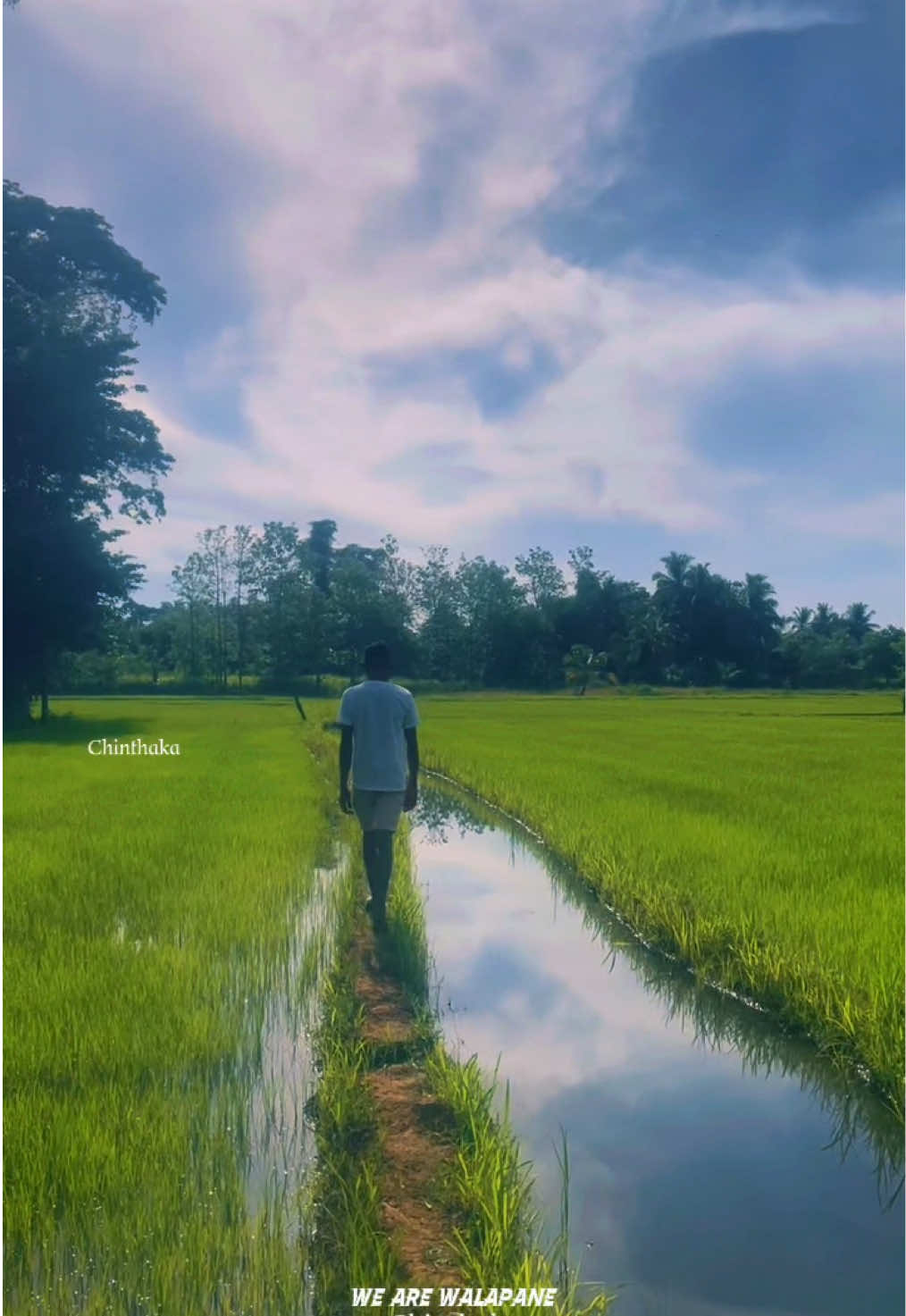 @වලපනේ අපි ( We Are Walapane )