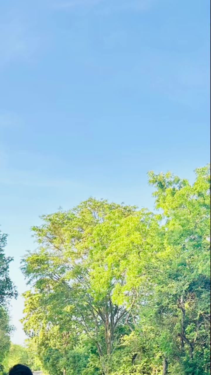 @sachin.chandima5