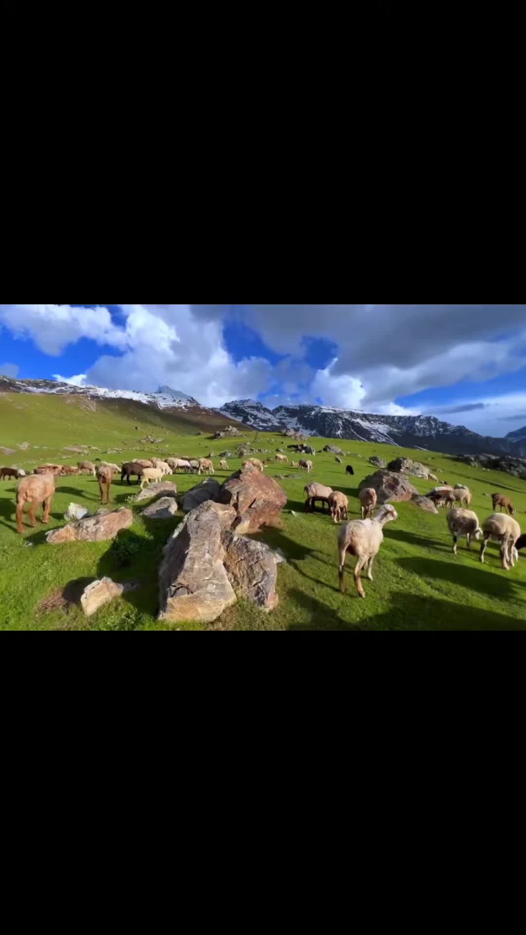 @Chetraari