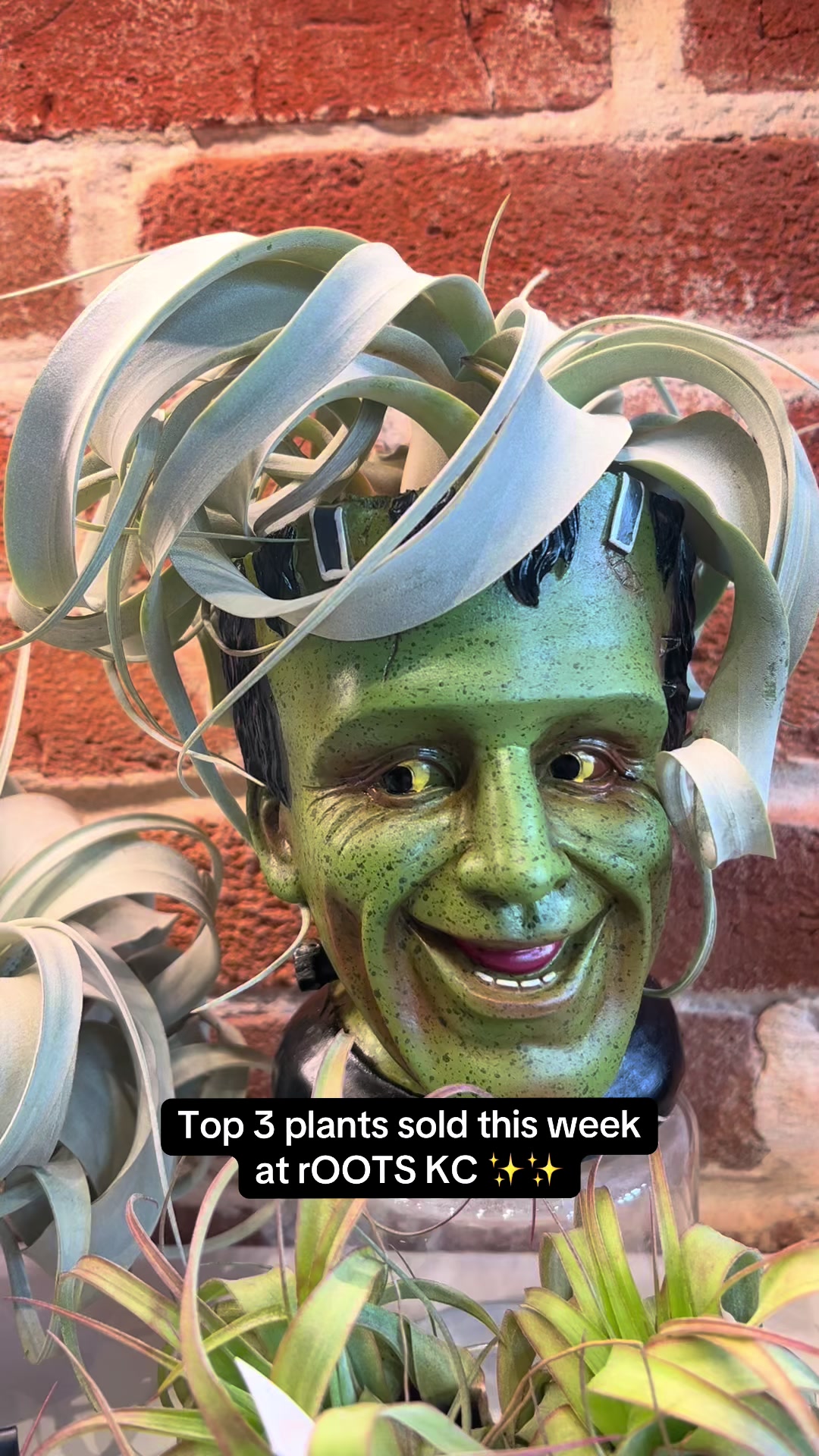 @Rootskc